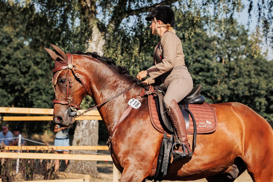 HA.LT 2024 Working Equitation Foto Suhr