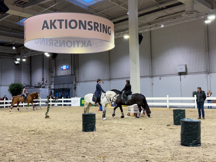 Passion Pferd PSV Aktionsring Working Equitation