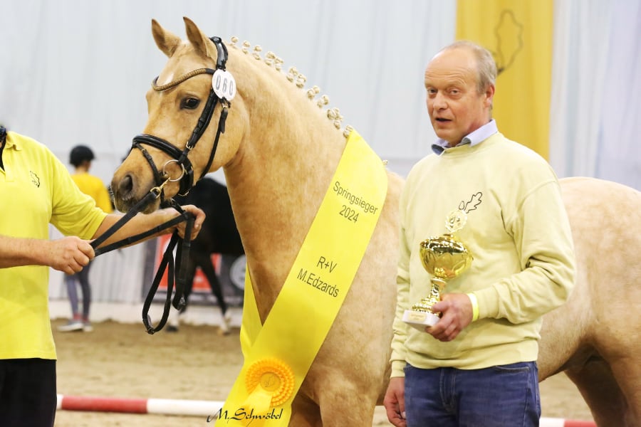 Ponykörung 2024 Siegerhengst DR Springen