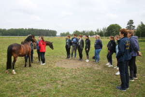 PSV Hannover - Lehrgang für Trainerassistenten/ Nachwuchstrainerassistenten auf Gut Warxbüttel